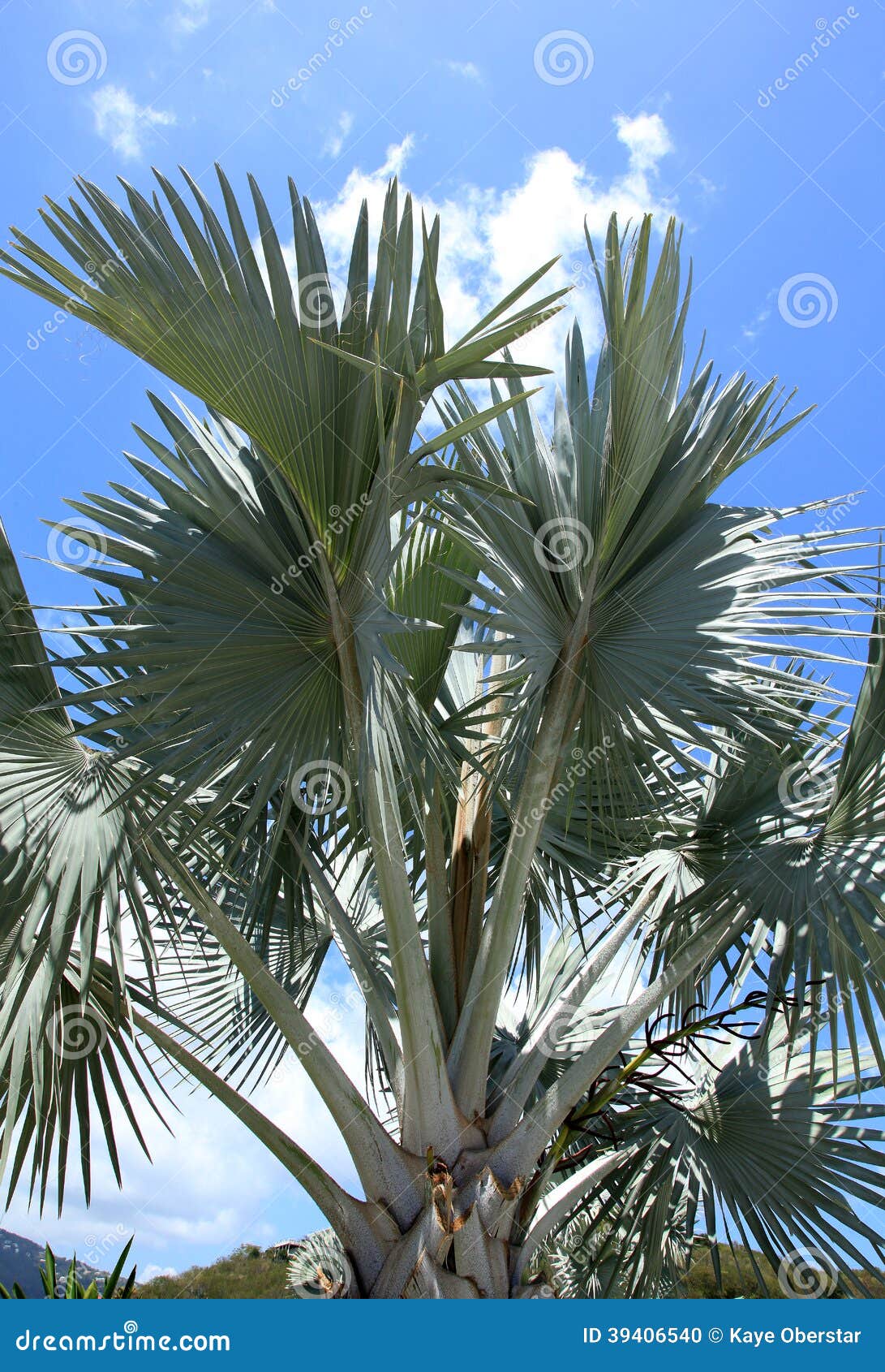 silver palms at marriott resort st thomas