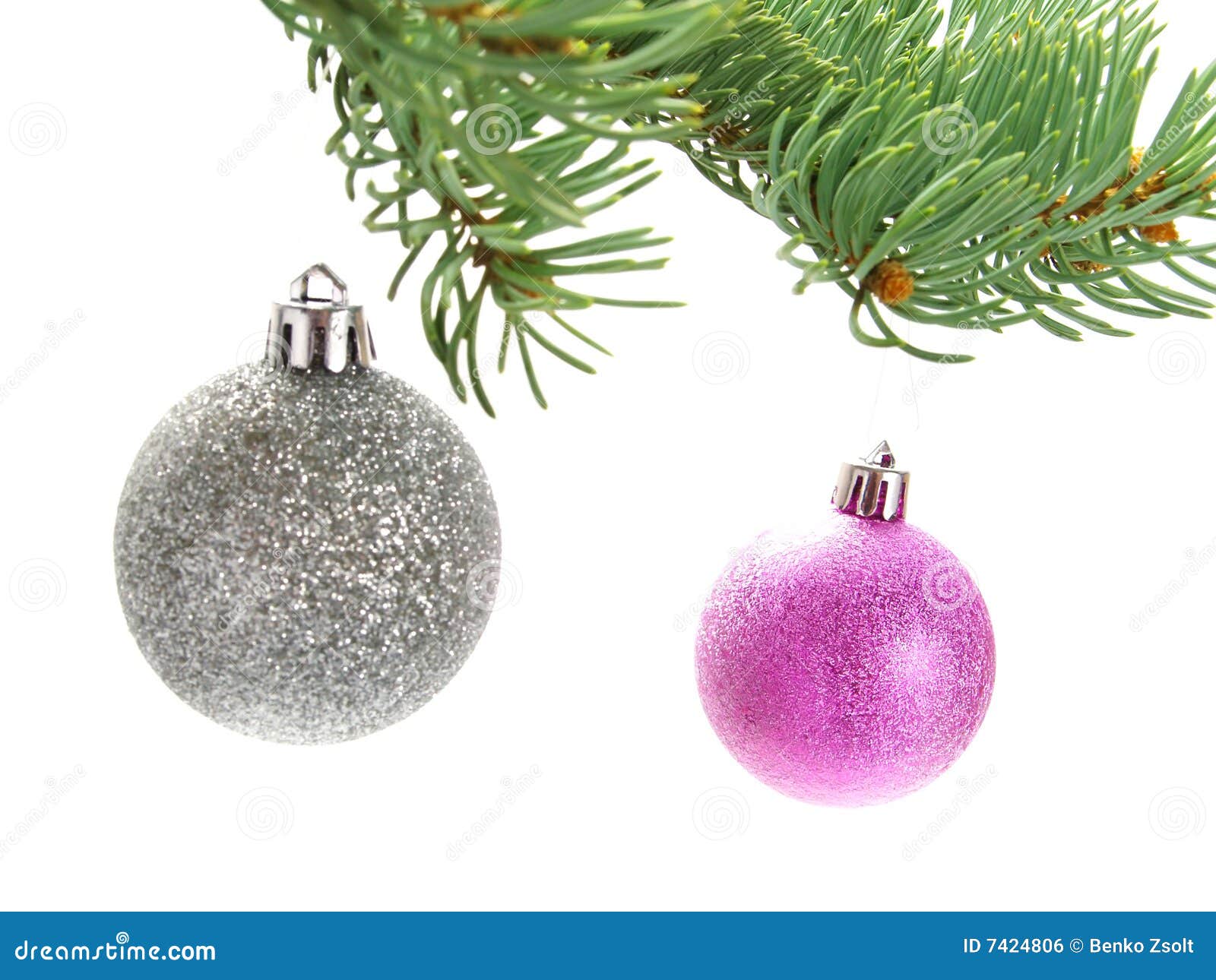 Closeup photo of some nice colorful silver pink Christmas decoration baubles hanging on Christmas tree Isolated on white