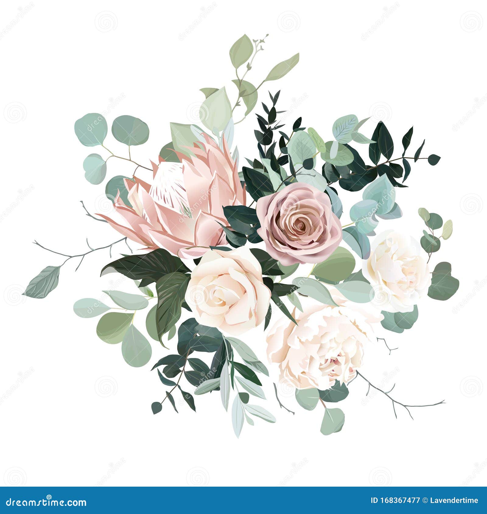 Silver Sage And Blush Pink Flowers Vector Design Bouquet 向量例证 插画包括有绿色 开花 Silver Sage And Blush Pink Flowers Vector Design Bouquet 向量例证 插画包括有绿色 开花