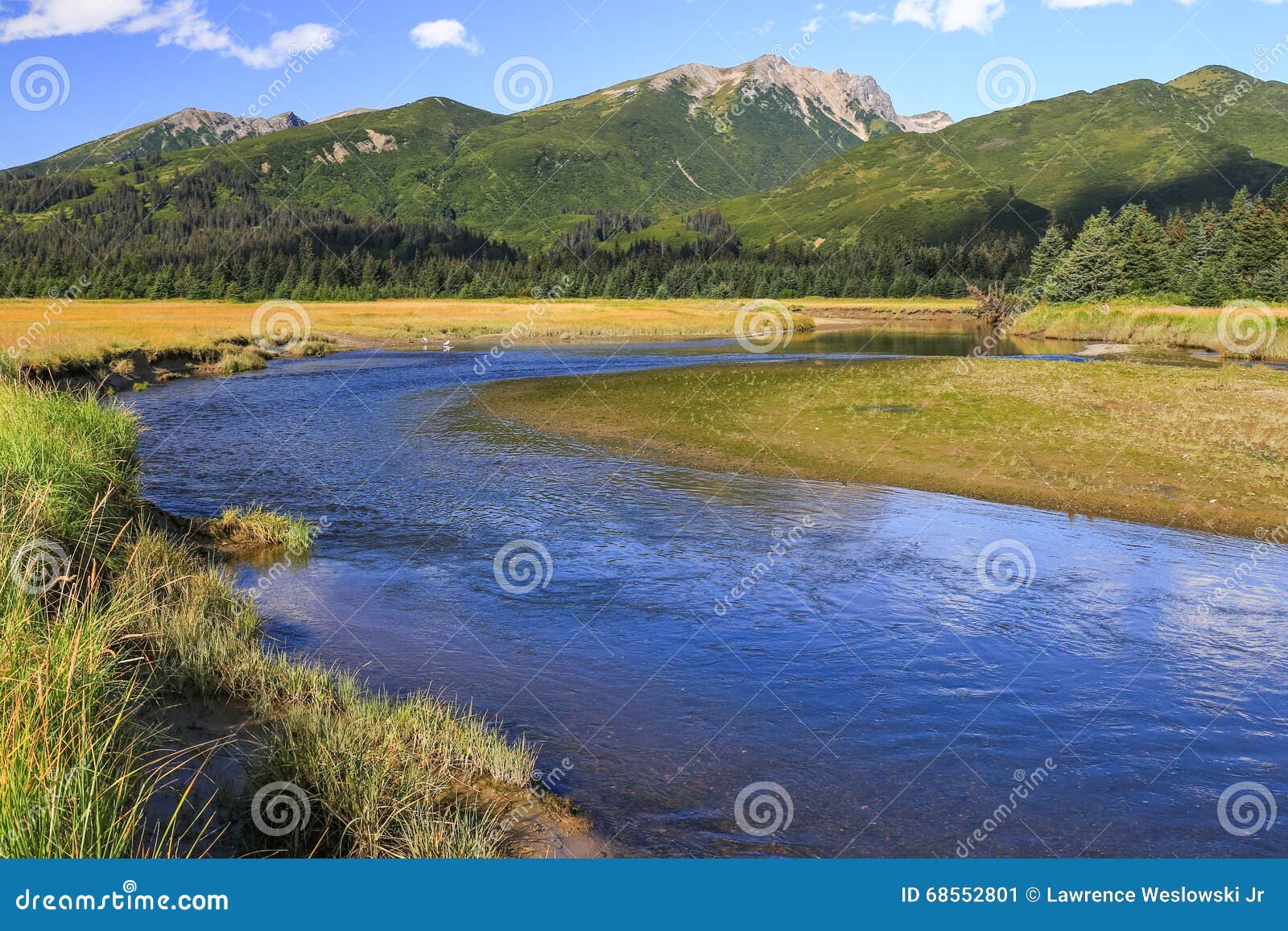 silver salmon creek lake clark national park