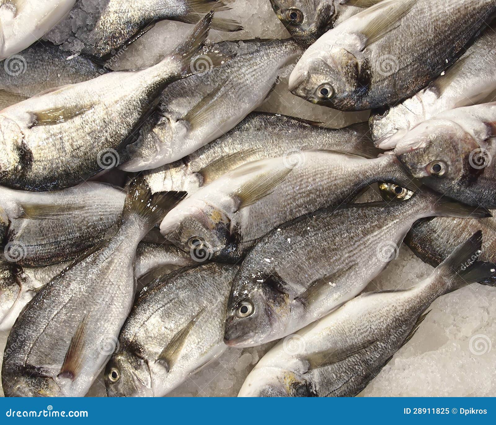 Silver Sea Auto Repair