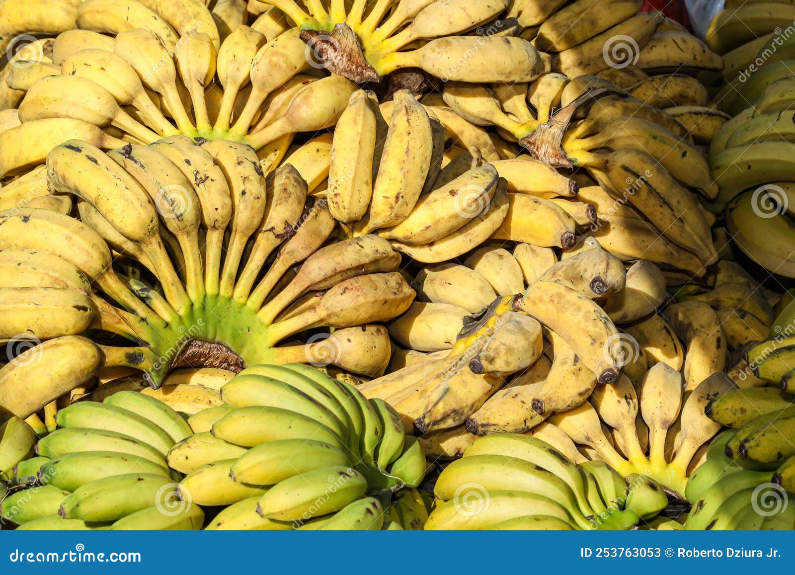Silvertype Organic Banana Stack Highlighted Stock Image Image of