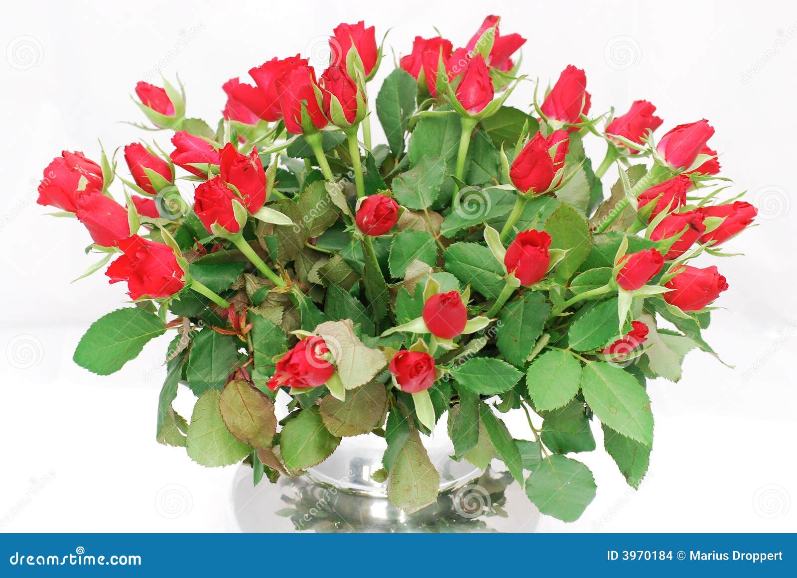 Silver Vase with Bunch of Red Roses 2 Stock Photo Image of plant
