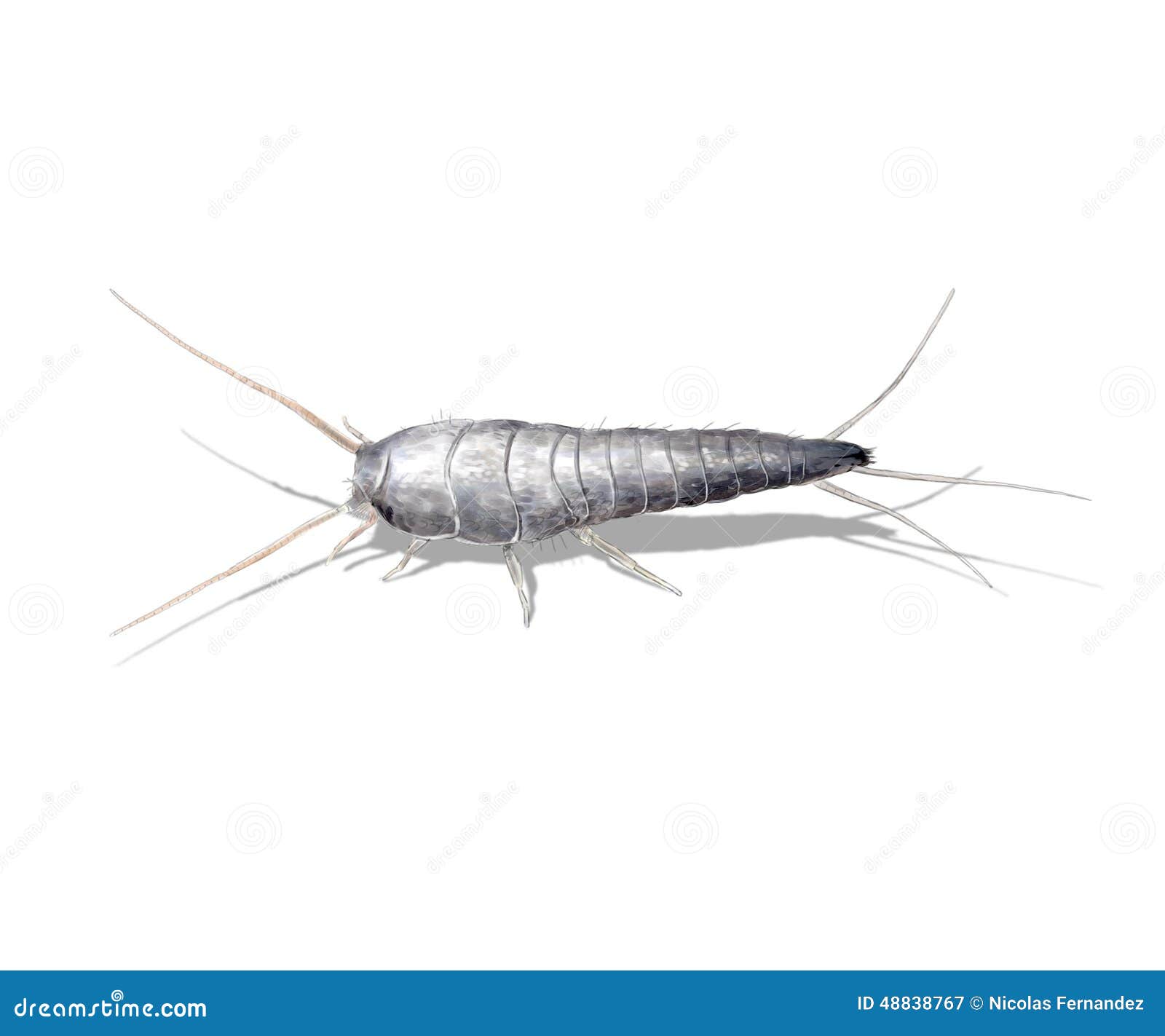 Download Silverfish Cartoons, Illustrations & Vector Stock Images - 126 Pictures to download from ...