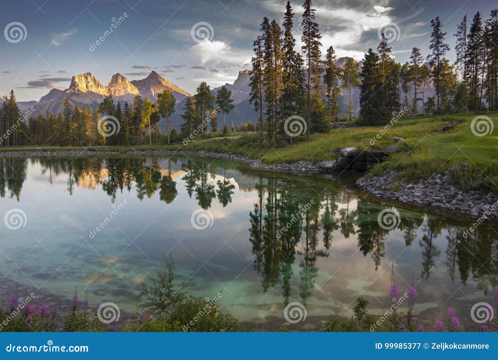 Silvertip Golf Course in Canmore Alberta at Sunset Stock Image Image Silvertip Golf Course in Canmore Alberta at Sunset Stock Image Image