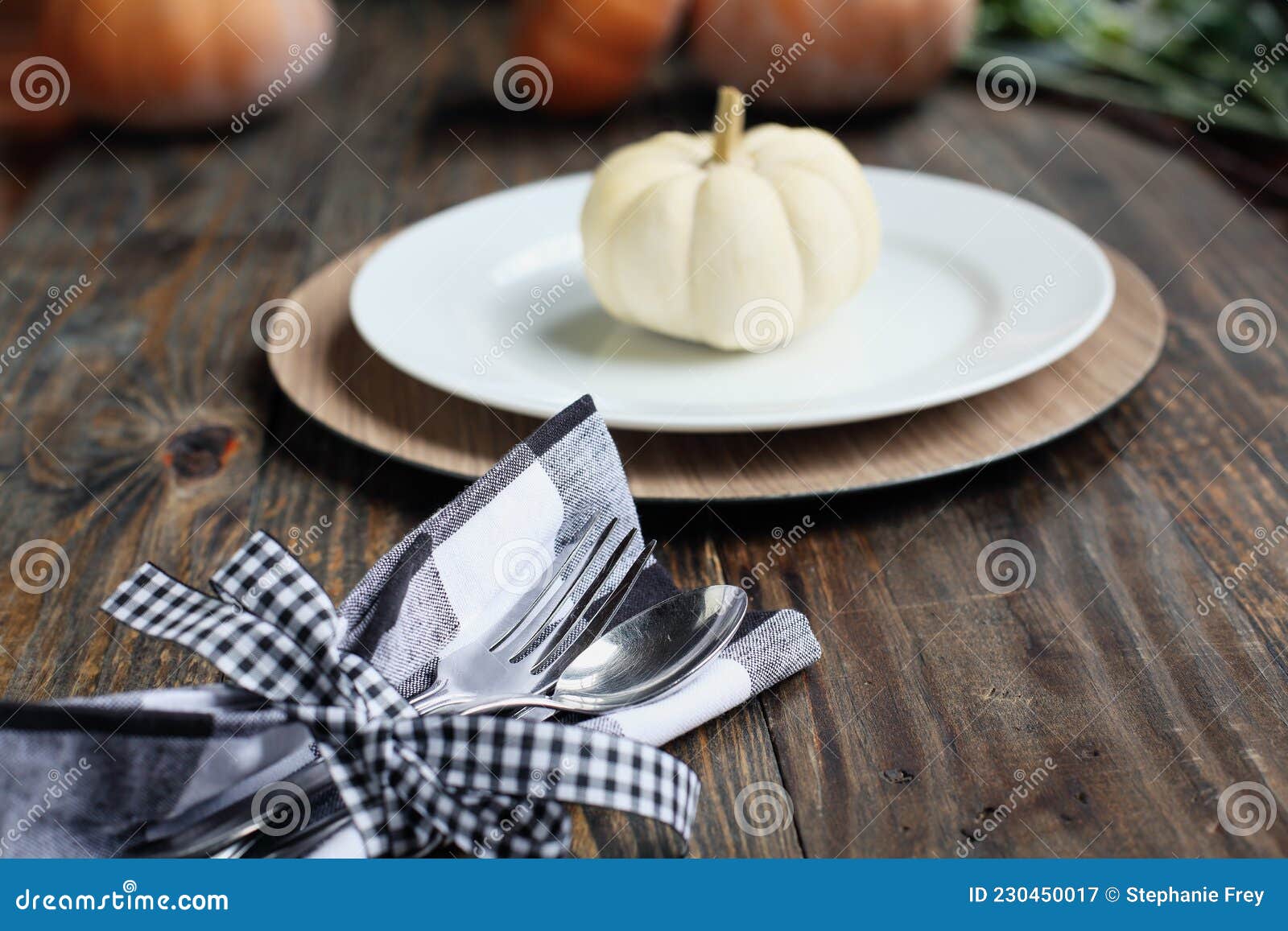 Silverware for Thanksgiving Day WithPlace Setting and White Pumpkin ...