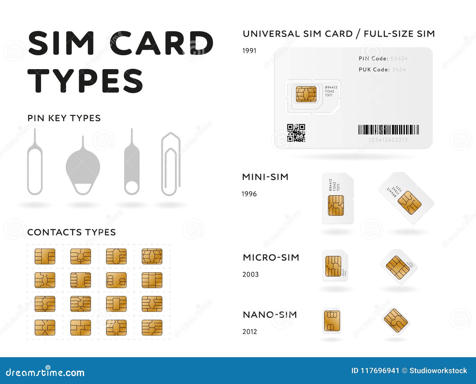 SIM Card Types Infographics in Flat Style Stock Vector Illustration of icon, flat 117696941