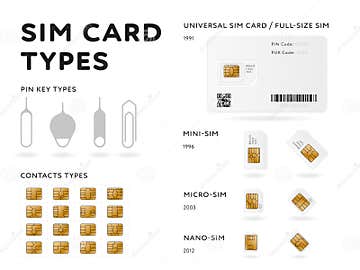 SIM Card Types Infographics In Flat Style Stock Illustration 