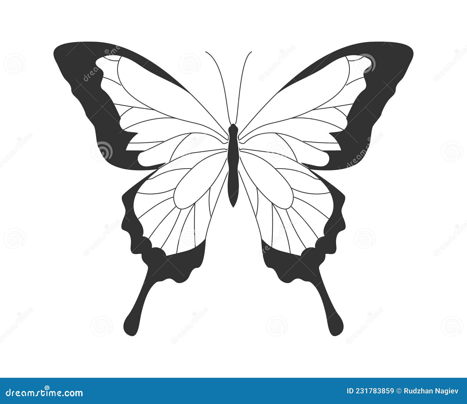 Butterfly Sticker Vector Art, Icons, and Graphics for Free Download