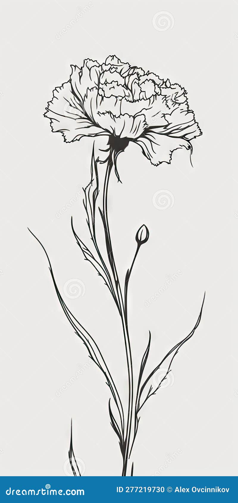 30 Awesome Carnation Tattoo Ideas [2024 Inspiration Guide]