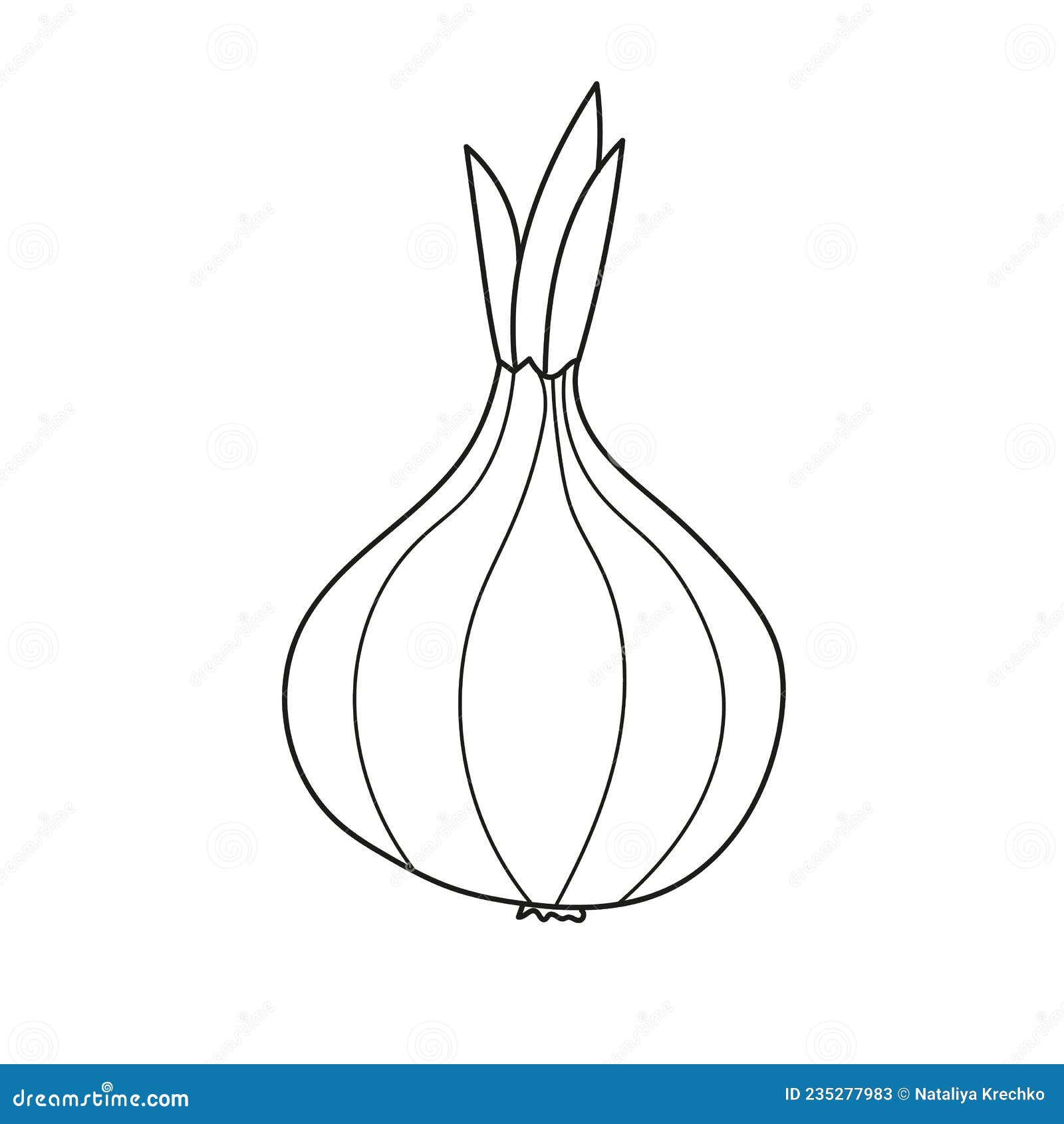 Coloring book for children. Onion head in color and black and white.  11936517 Vector Art at Vecteezy