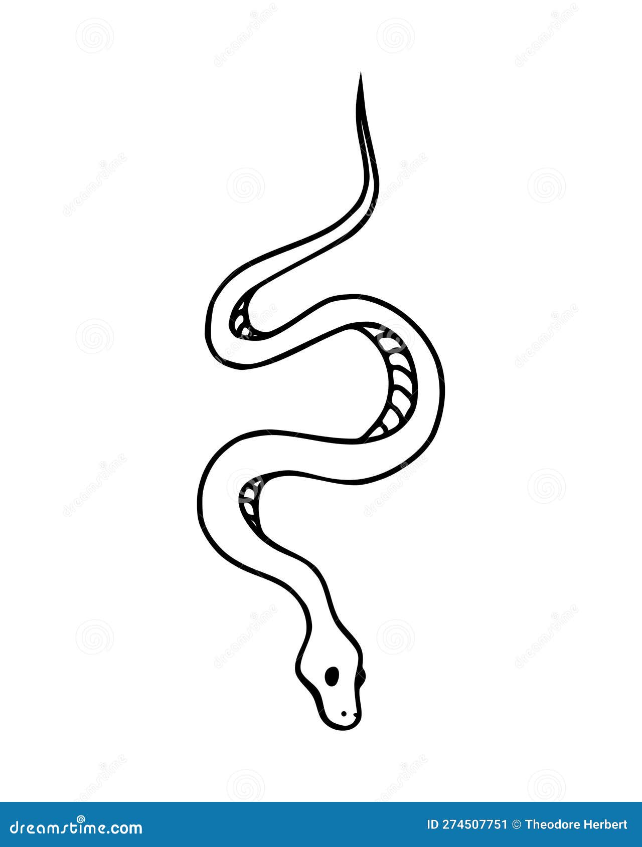 Sketching: Learn How to Sketch a Reptile - Snake (Common Garter)