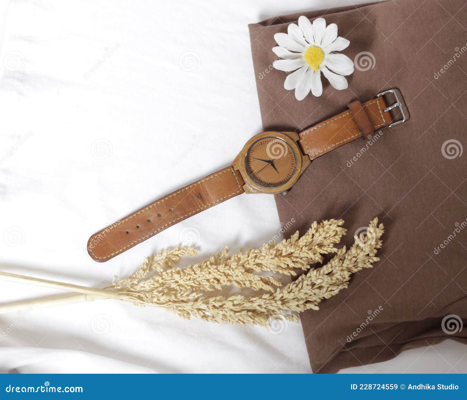 simple and elegant watch with a soft color.