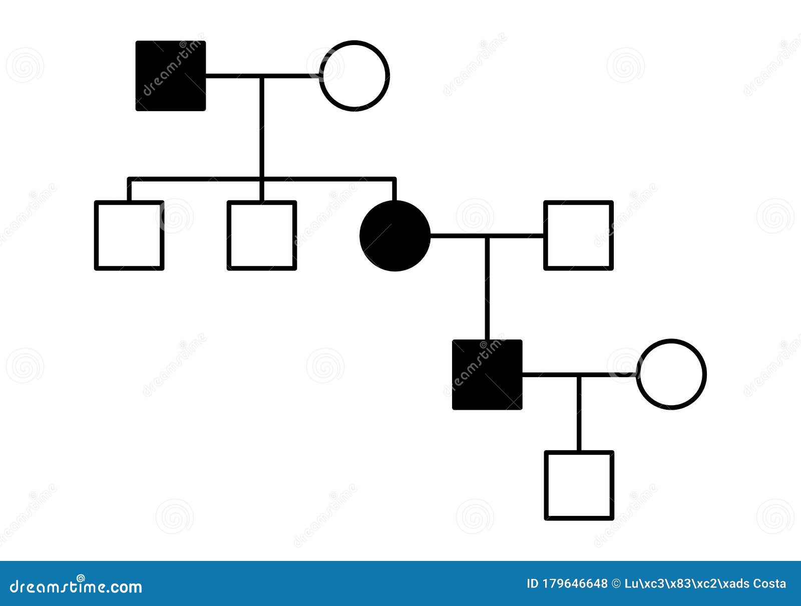 simple family diagram 