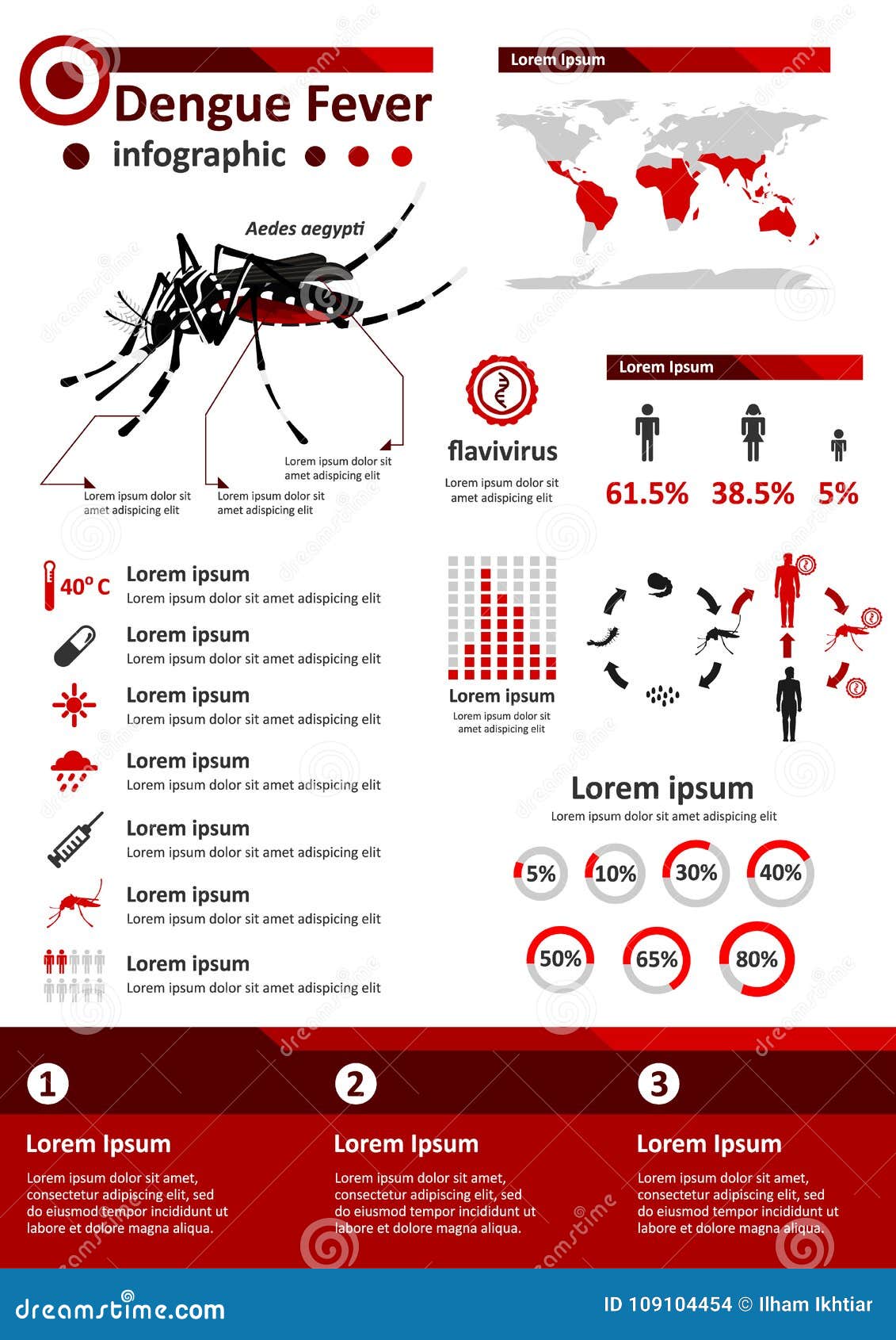 infectious disease infographics - dengue fever