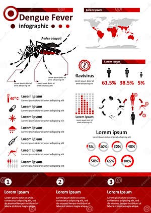 Dengue Fever Chart