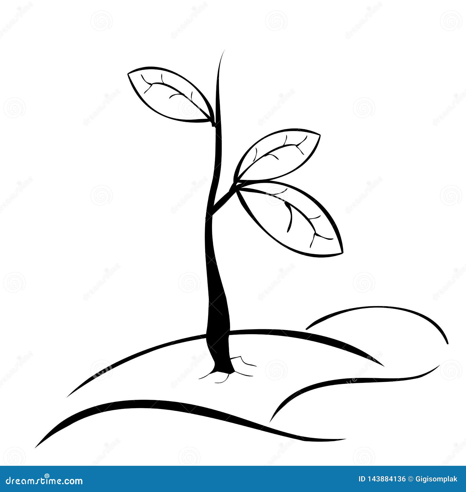 15+ Best New Simple Plant Drawing Black And White