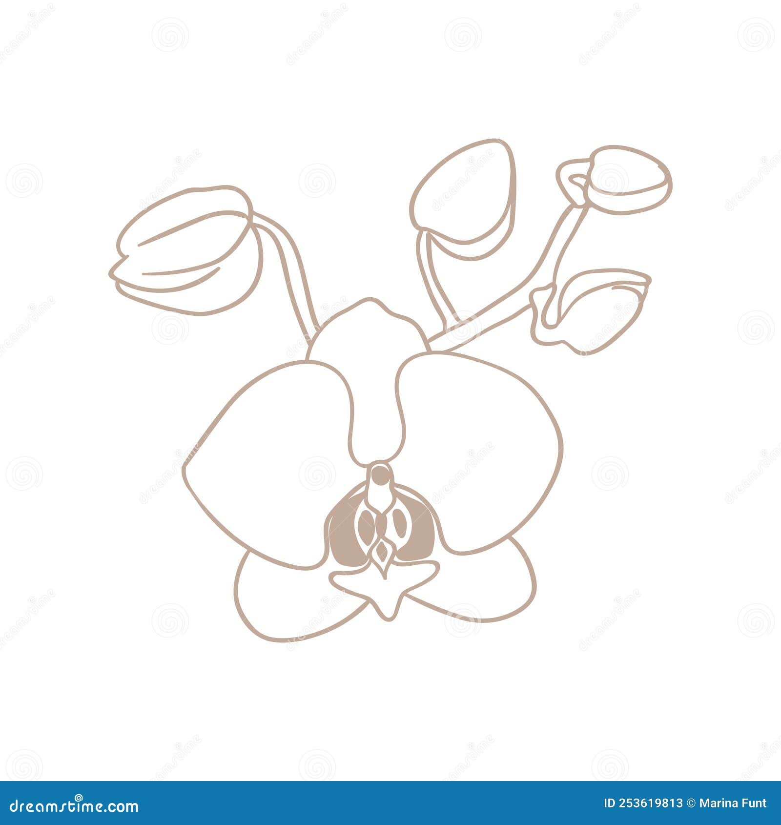 How to Draw a Beautiful Orchid - Really Easy Drawing Tutorial