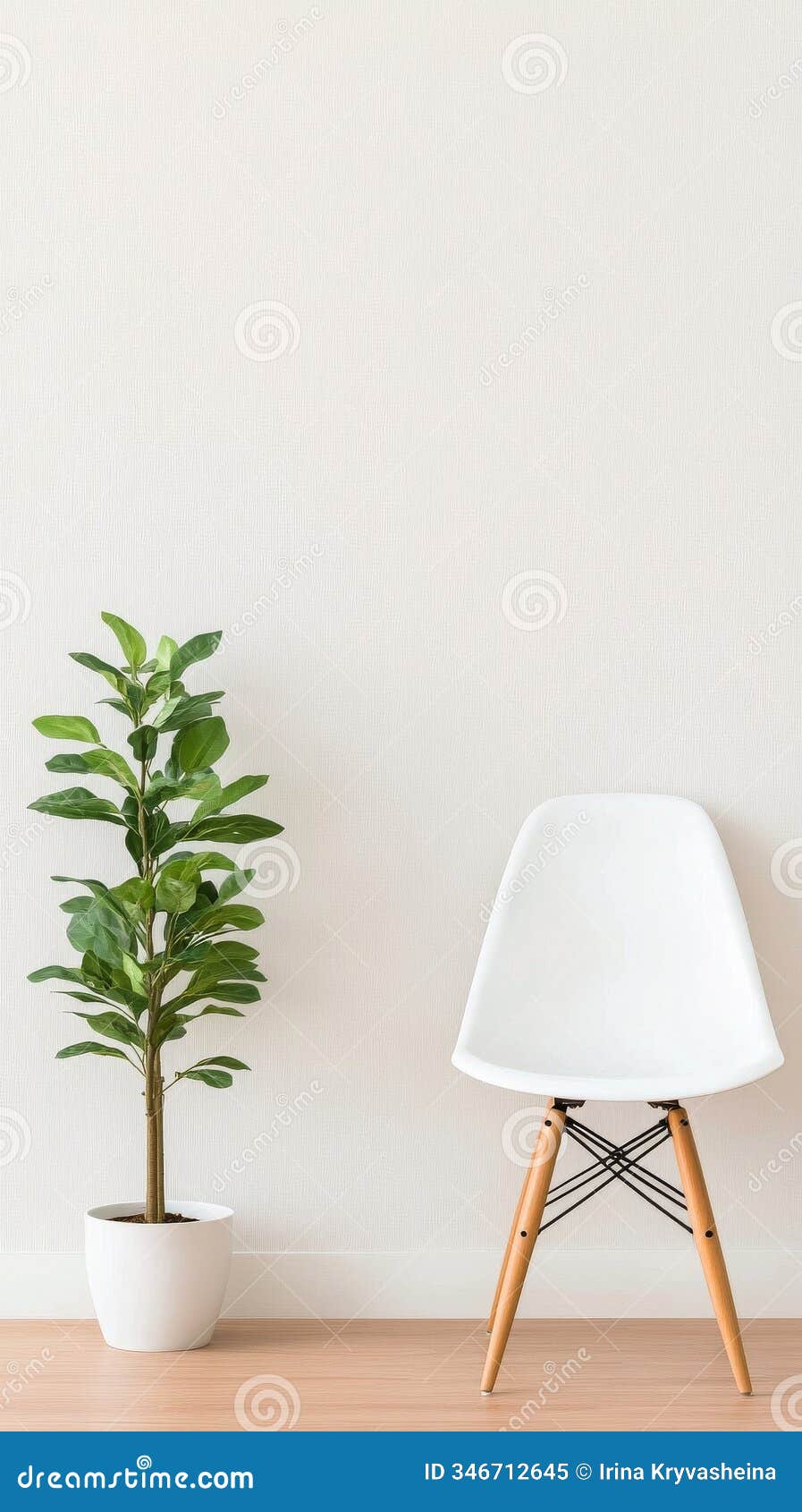 simple indoor setup featuring a plant and chair highlights modern minimalism