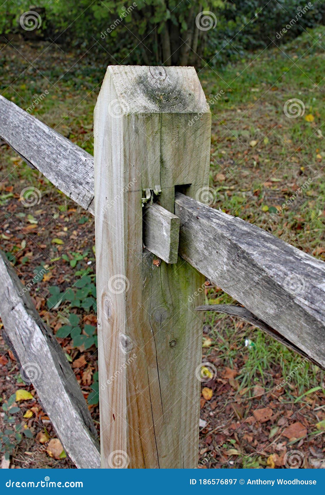Simple Joint in a Rustic Wooden Fence Stock Image Image of reinforcement, detail 186576897