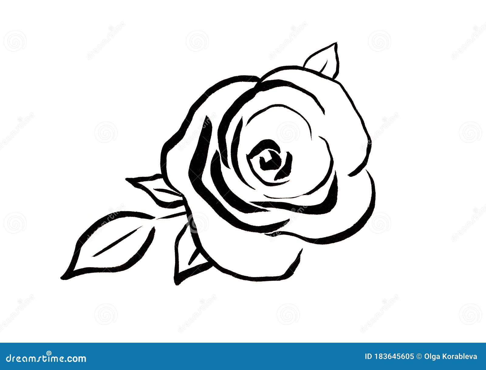 Rose Flower Line Art Illustrations Cartoon SVG PNG