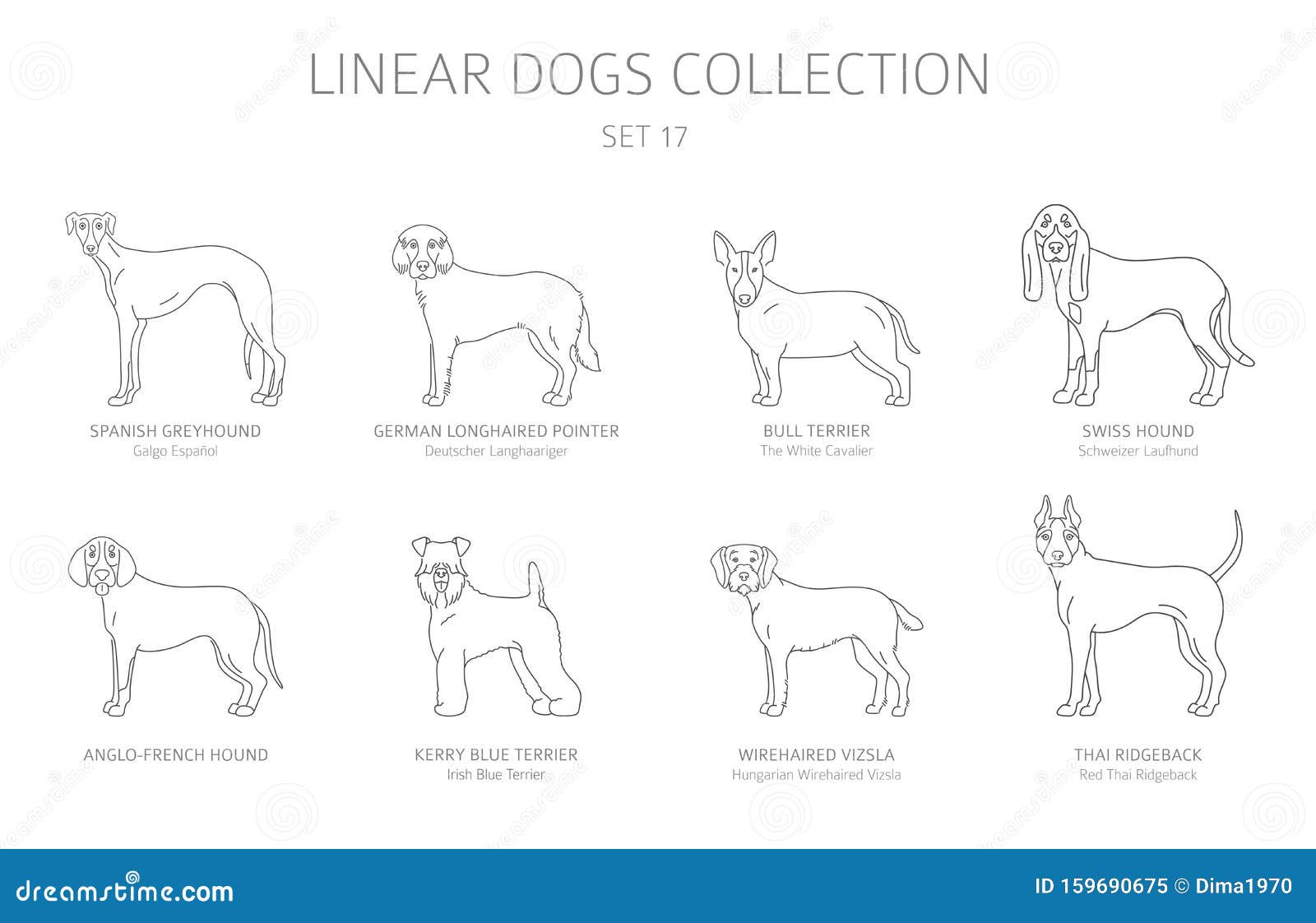 Line Dogs Chart