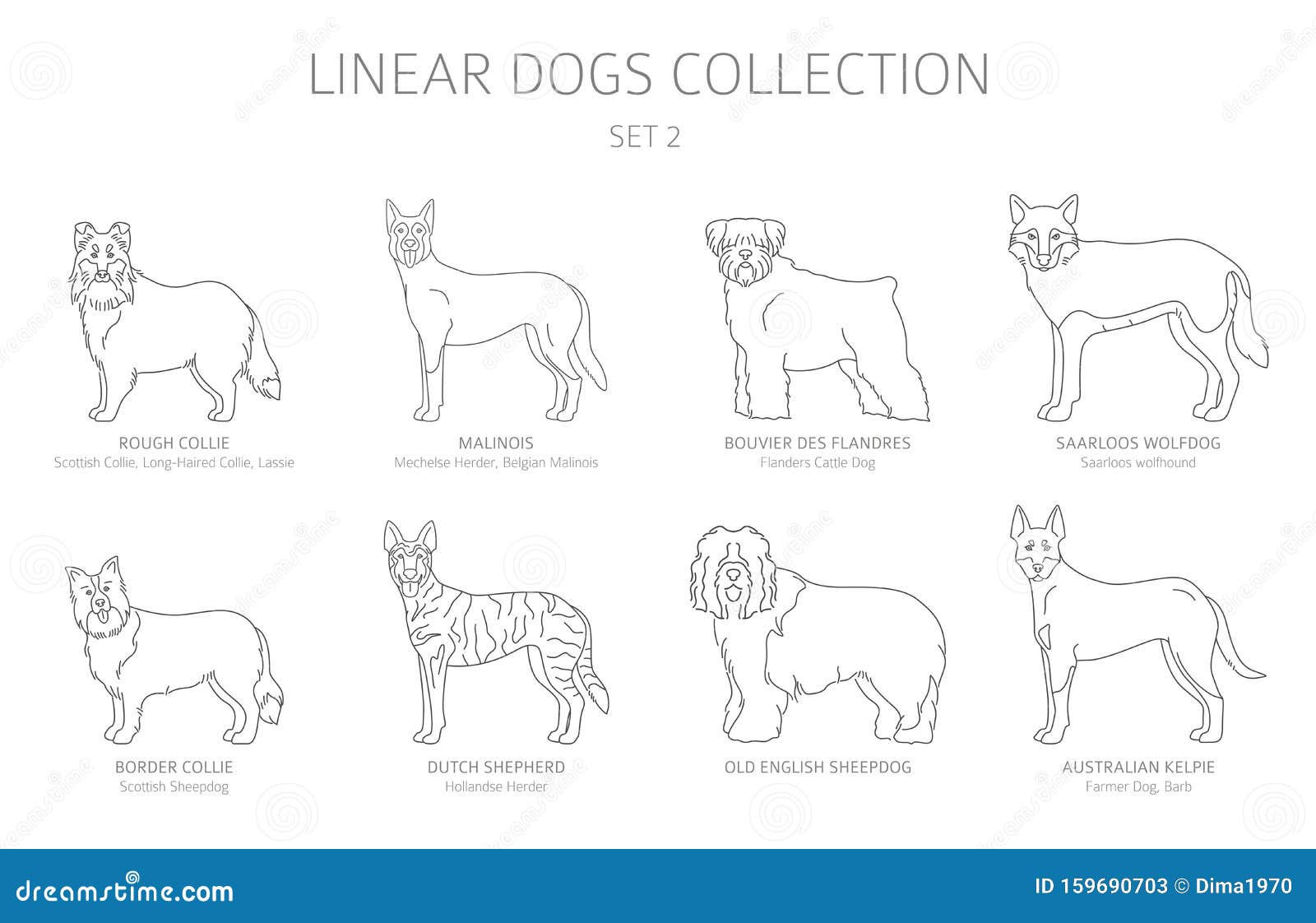 Download Simple Line Dogs Collection Isolated On White Dog Breeds Flat Style Clipart Set Stock Vector Illustration Of Belgian Domestic 159690703