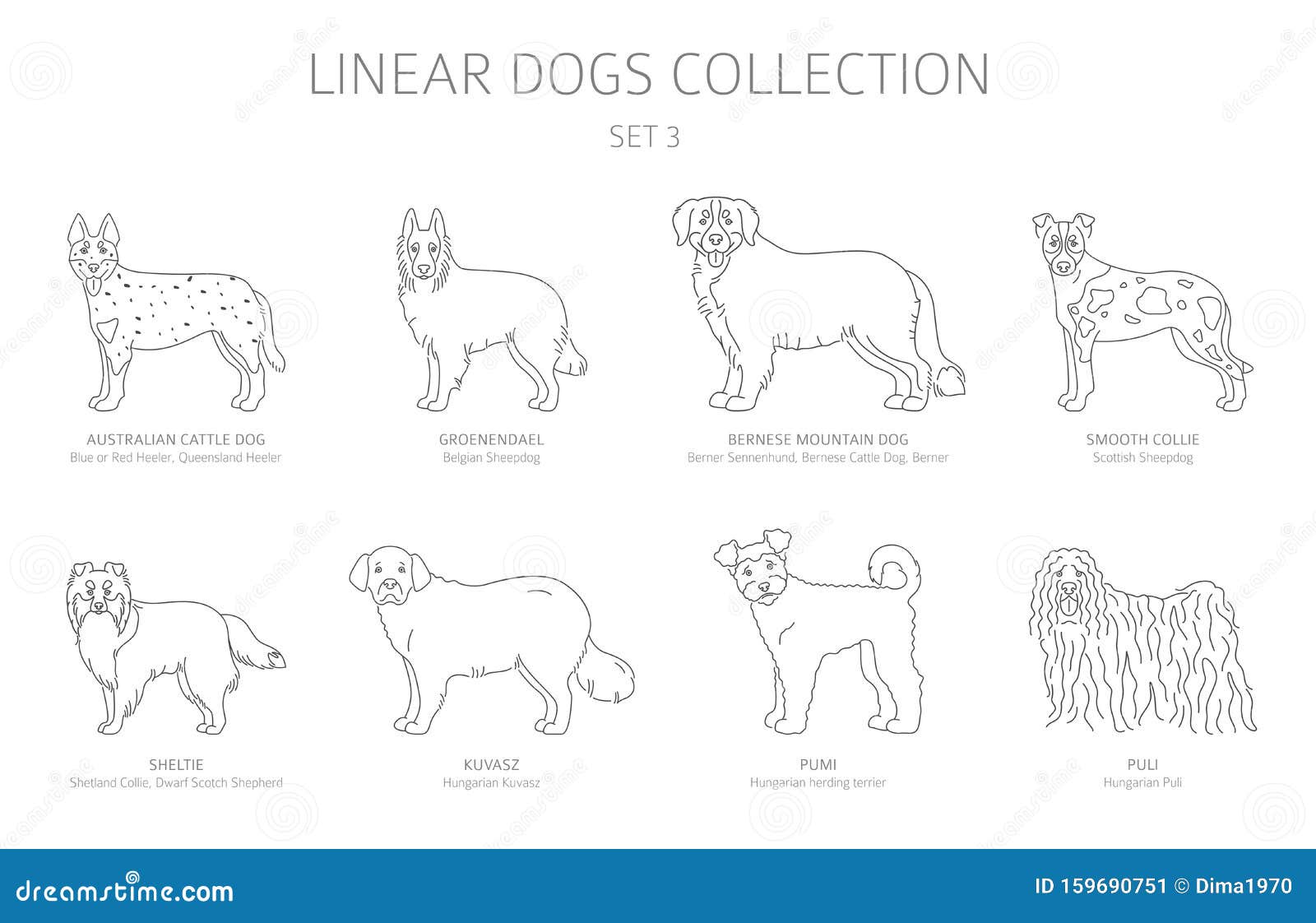 Simple Line Dogs Collection Isolated On White Dog Breeds Flat Style Clipart Set Stock Vector Illustration Of Animal Hunting 159690751