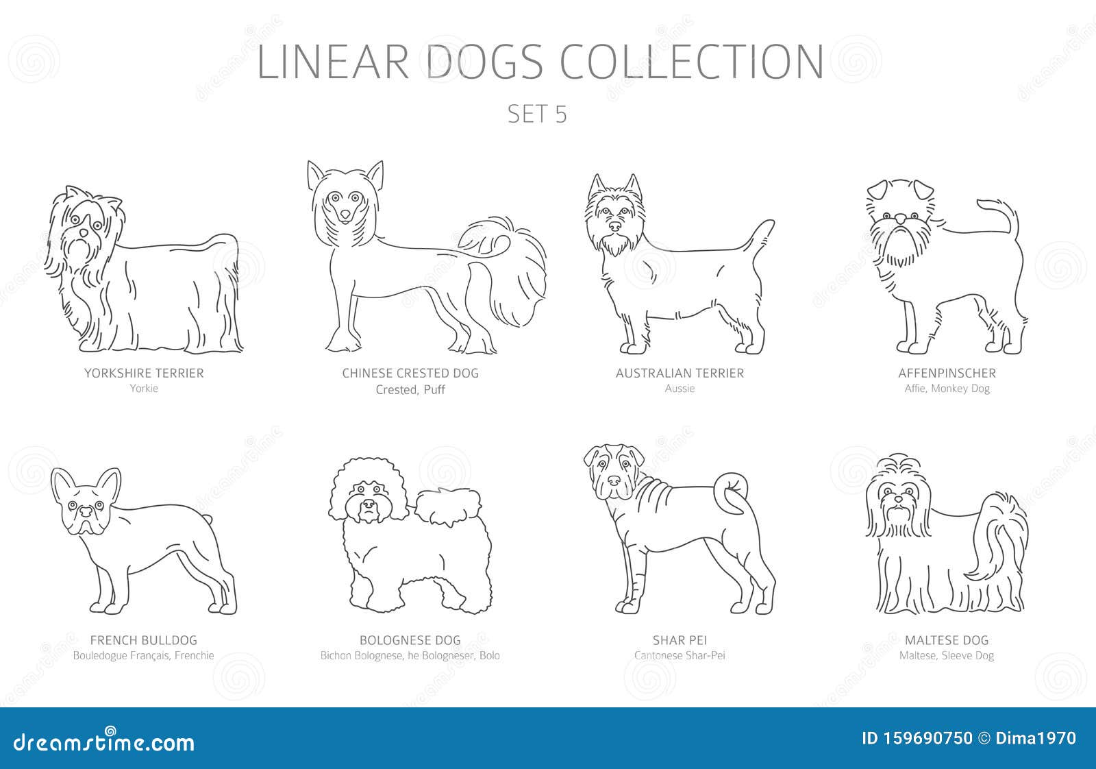 Download Simple Line Dogs Collection Isolated On White Dog Breeds Flat Style Clipart Set Stock Vector Illustration Of Collection French 159690750