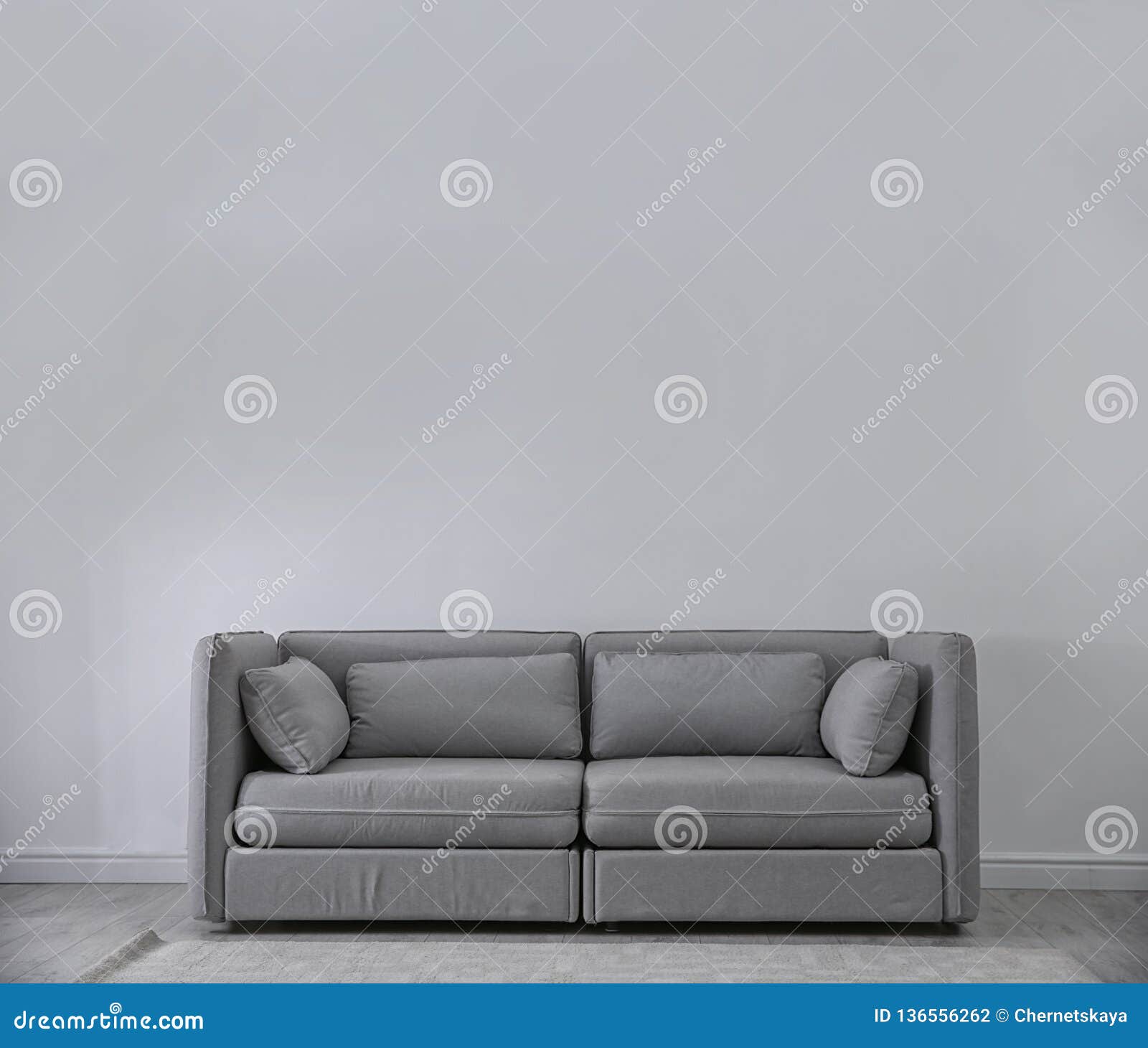 Simple Living Room Interior with Comfortable Sofa Near Wall. Space for