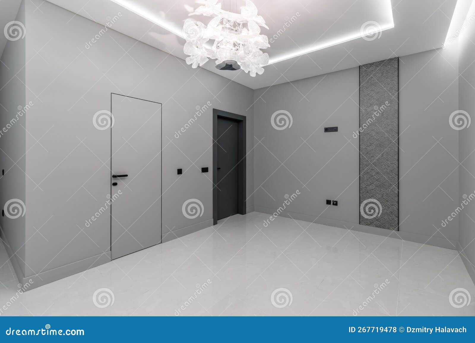 A Simple Modern Gray Wall with a Black and Gray Door in an Empty Room