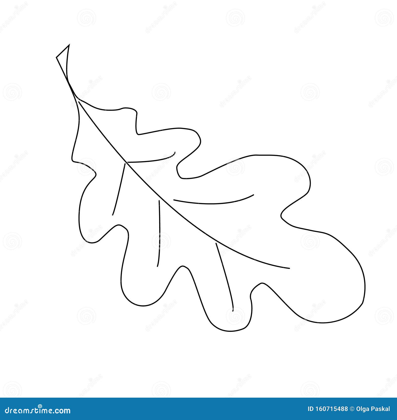 Simple Outline Drawing of a Oak Leaf. Stock Vector Illustration of
