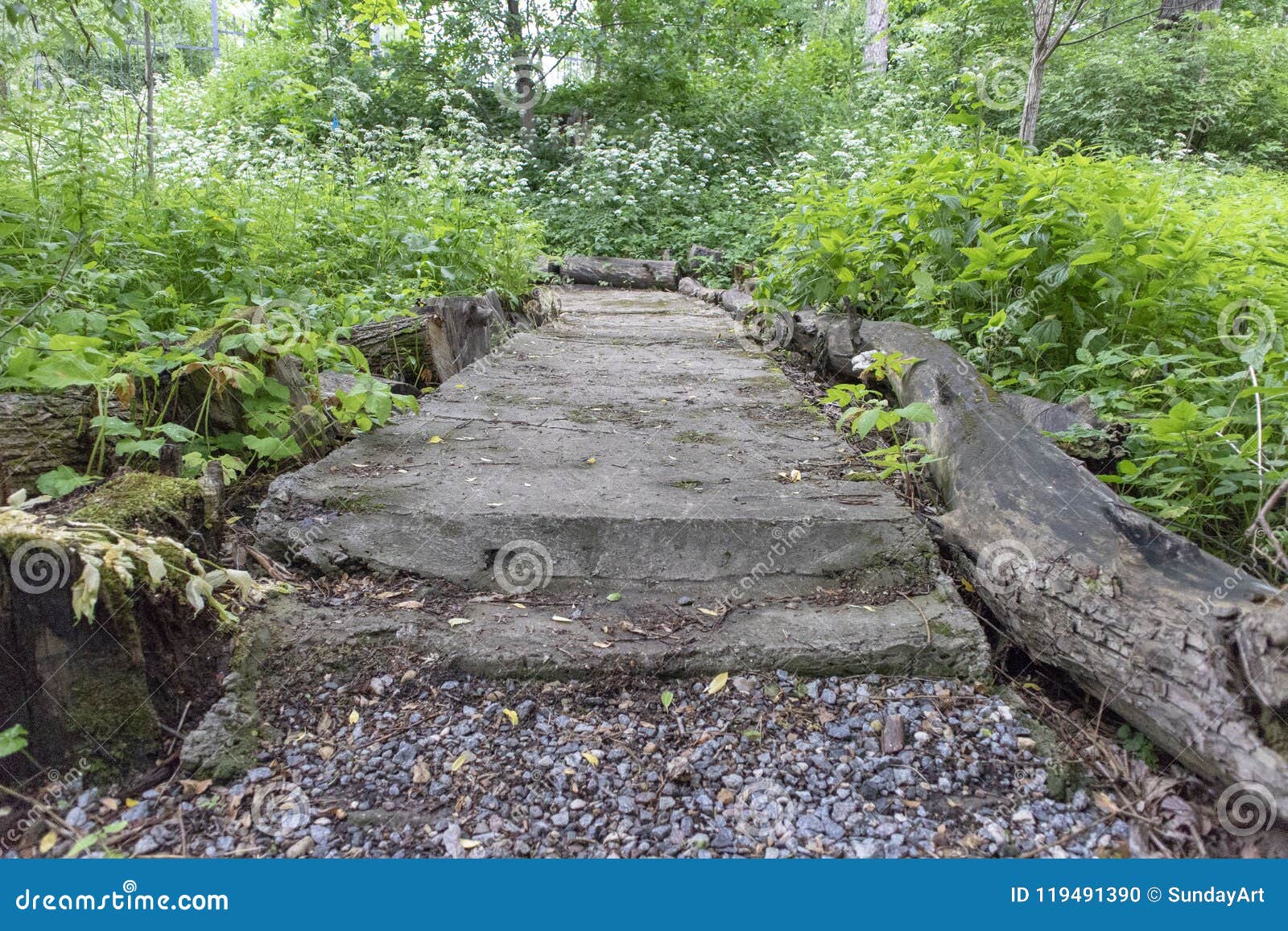 Simple Photo Background Pattern of Concrete Path in Forest Stock Photo
