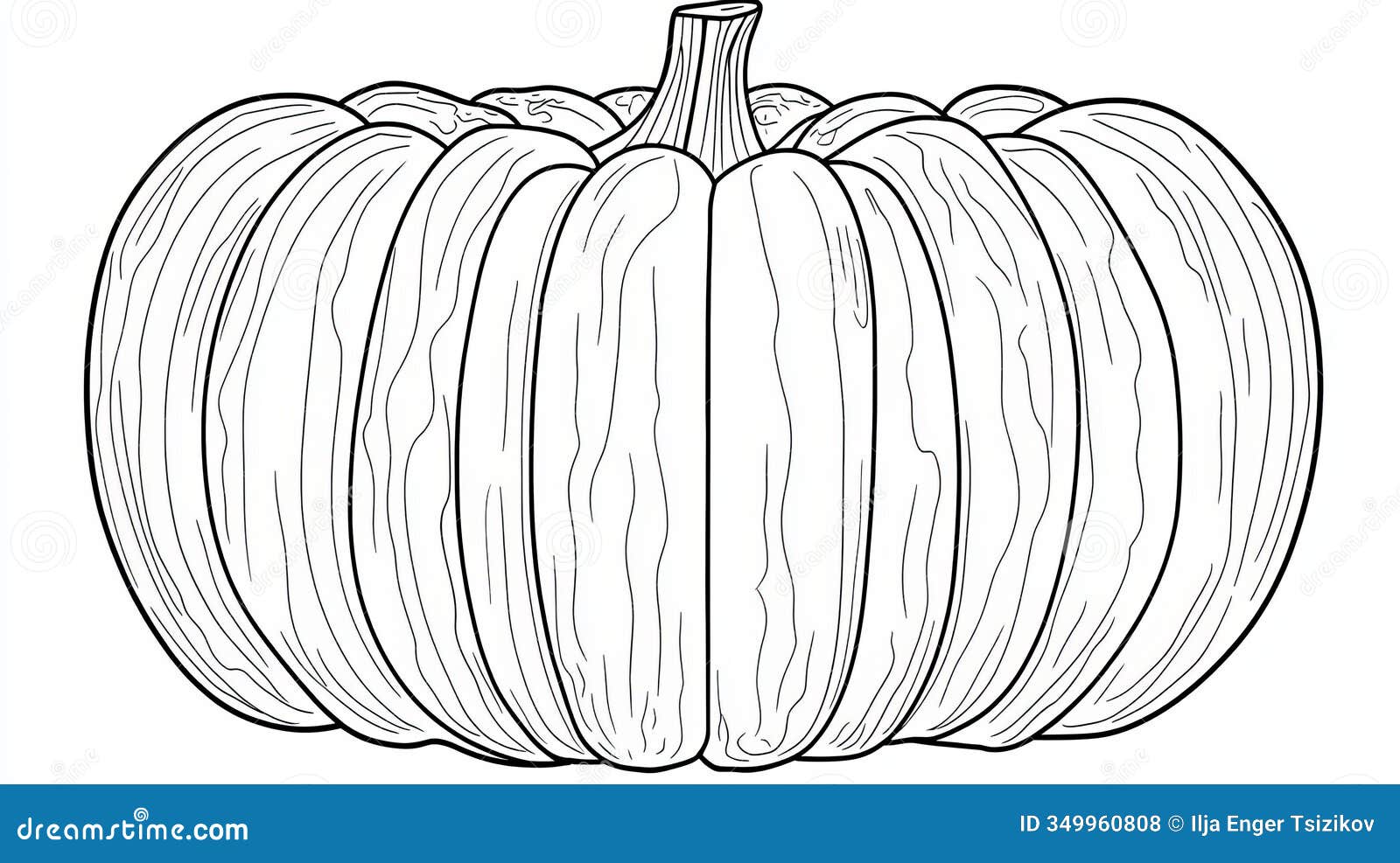 simple pumpkin , line art drawing for coloring book,  outline on white background