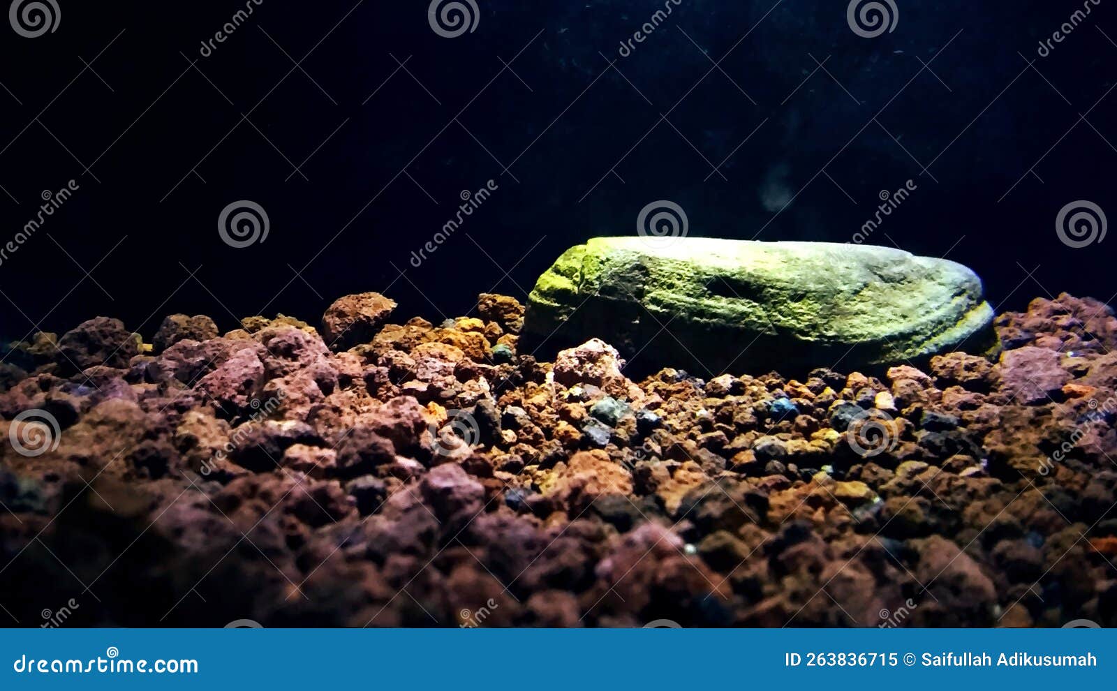 Simple Setting of a Rock in an Aquarium, with Dim Lights Stock Image