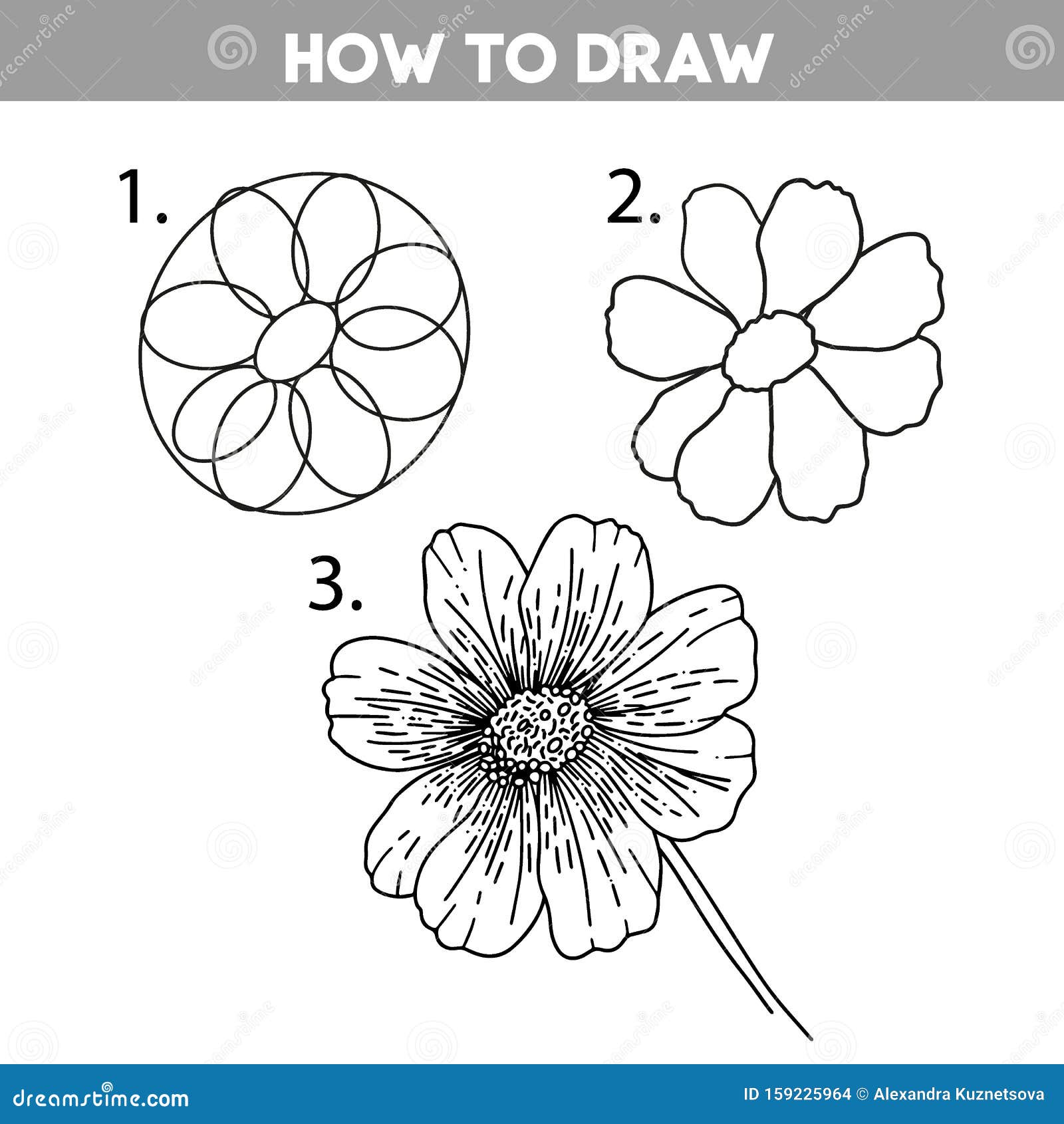 simple step step tutorial cosmos flower step step drawing process simple template game children adults 159225964