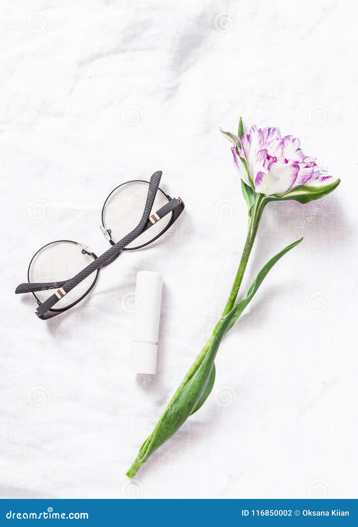 Simple Still Life On A White Background Tulip Flower Womens Glasses Download Preview Simple Still Life On A White Background Tulip Flower Womens Glasses Download Preview