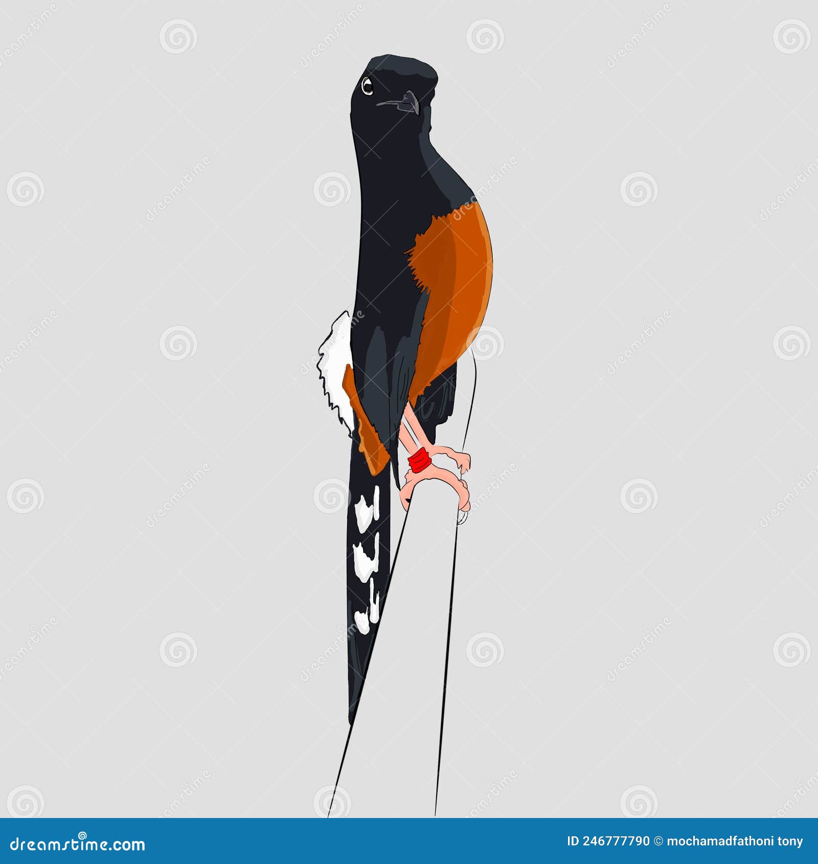 Simple Stone Magpie Bird for Logos and Wallpapers Stock Illustration