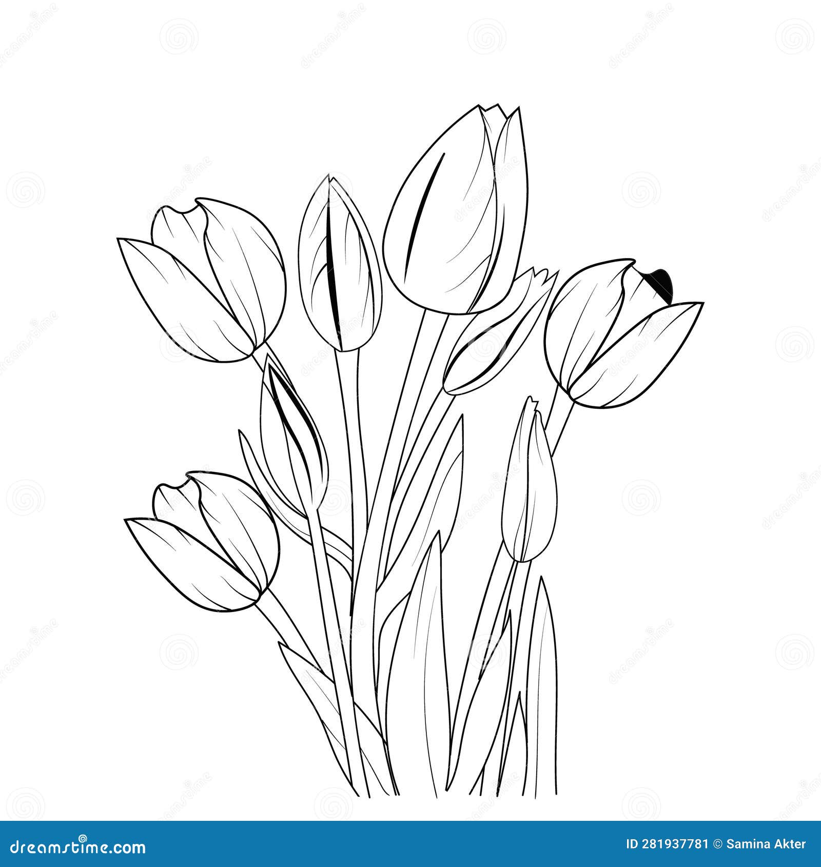 Simple Tulip Line Drawing, Tulip Flower Vector Art, Tulip Flower Line ...