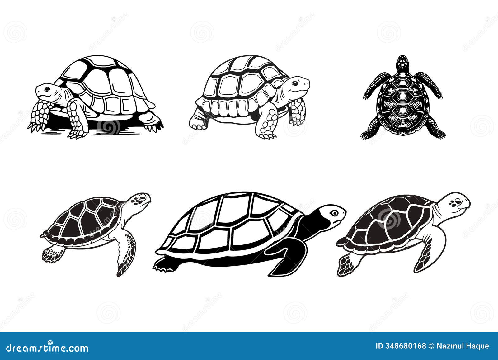 白背景中简单龟侧面矢量图艺术设计向量例证. 插画包括有题头, 转接, 单色, 设计, 理想, 徽标- 348680168