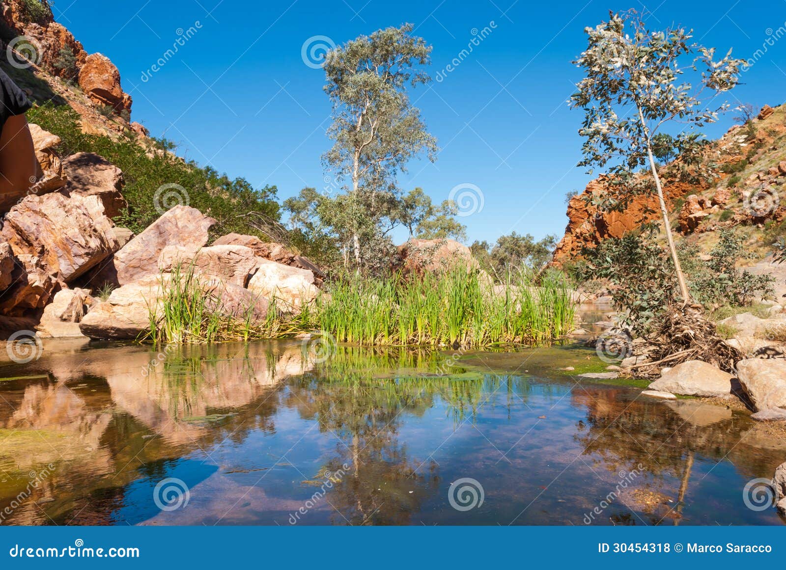 simpsons gap, macdonnell ranges, australia