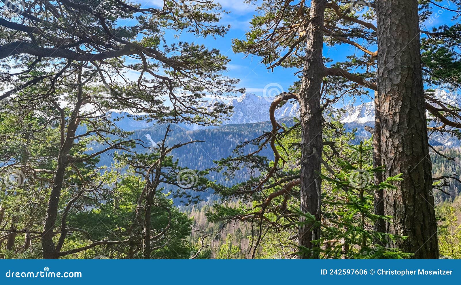 sinacher gupf - panoramic view of the karawanks in carinthia, austrian alps