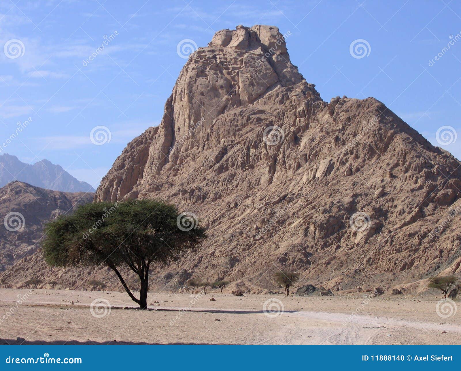 Sinai landscape stock photo. Image of exotic, biblical 11888140