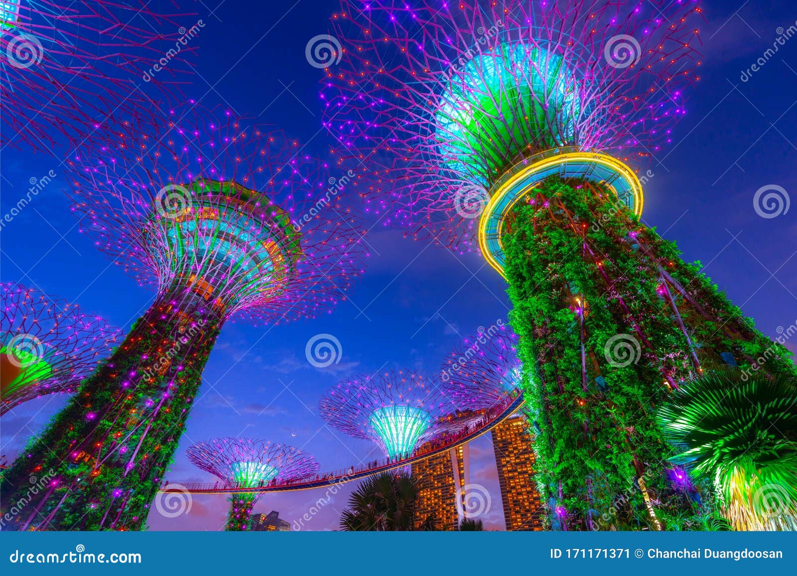 SINGAPORE JANUARY 27, 2020 Supertrees at Gardens by the Bay. the