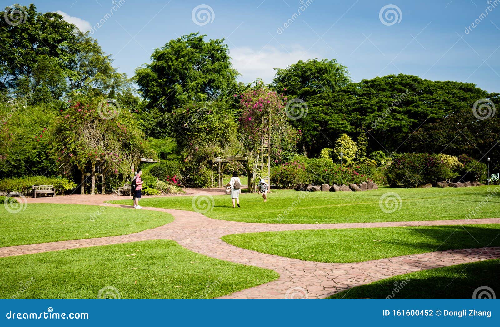 501 Botanical People Singapore Photos Free Royalty Free Stock Photos From Dreamstime