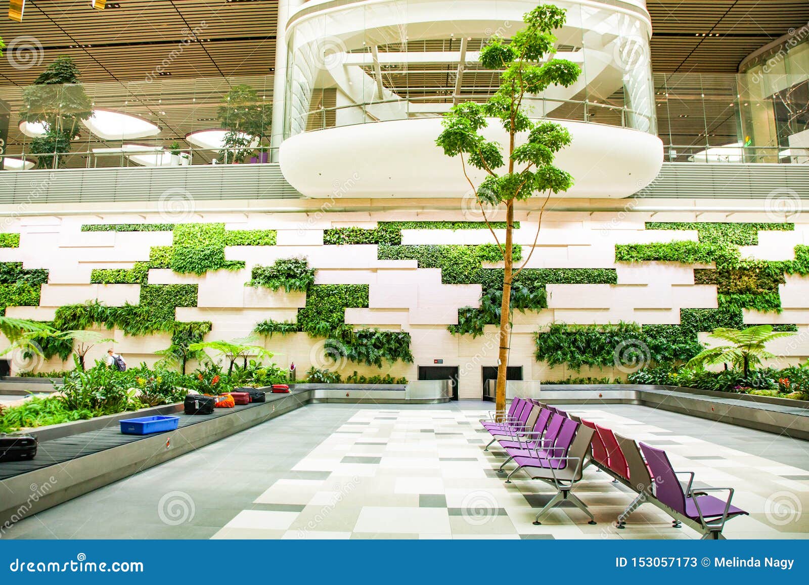 SINGAPORE, SINGAPORE - MARCH 2019: Luggage Arriving Among Lush Green Plants In Changi Airport ...