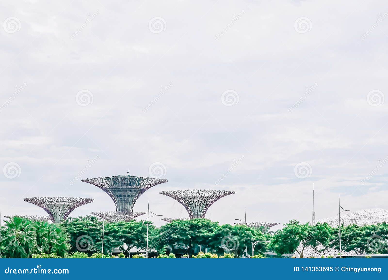 Aerial View Of The Supertrees Botanical Garden Gardens By The Bay