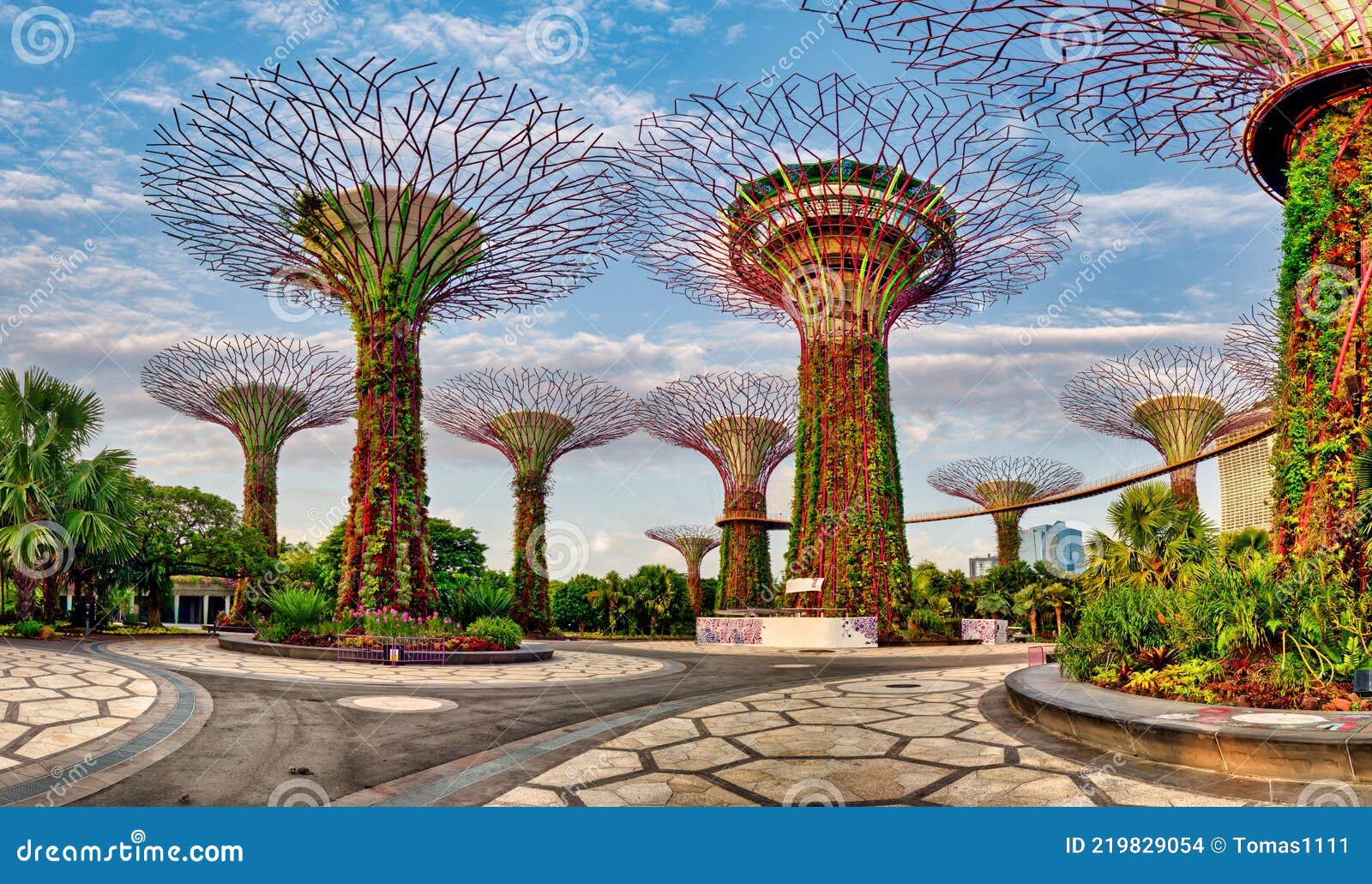Singapore Super Tree Garden in Marina Bay at Day, Nobody Editorial Stock Image Image of city