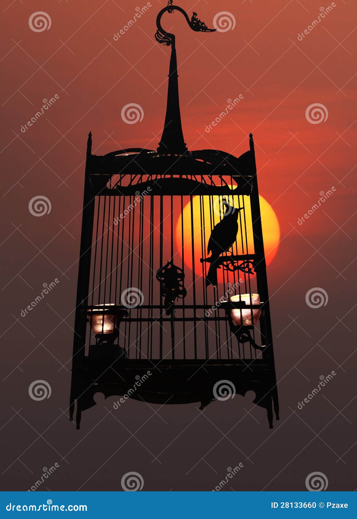 1,794 Bird Trap Stock Photos - Free & Royalty-Free Stock Photos from  Dreamstime