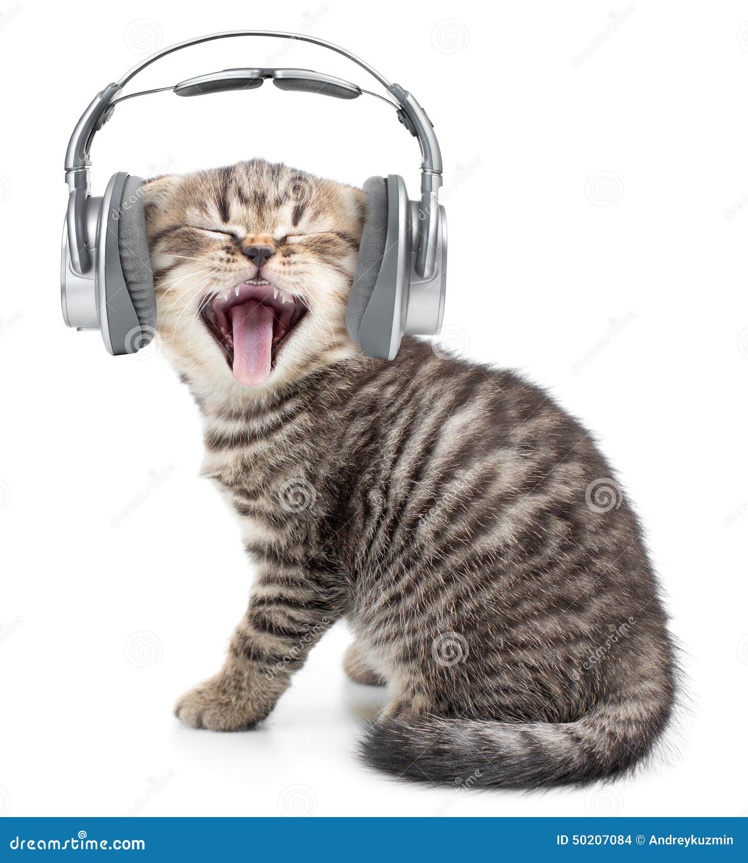 American Teen Soundtrack Adds Cat Xxx Porn Library